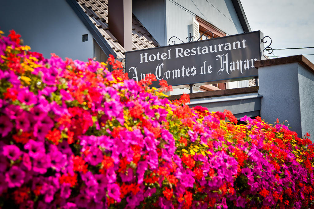 Logis Hotel Aux Comtes De Hanau Ingwiller Dış mekan fotoğraf